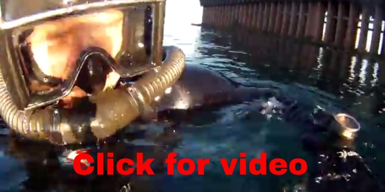 DA Aqualung Video button